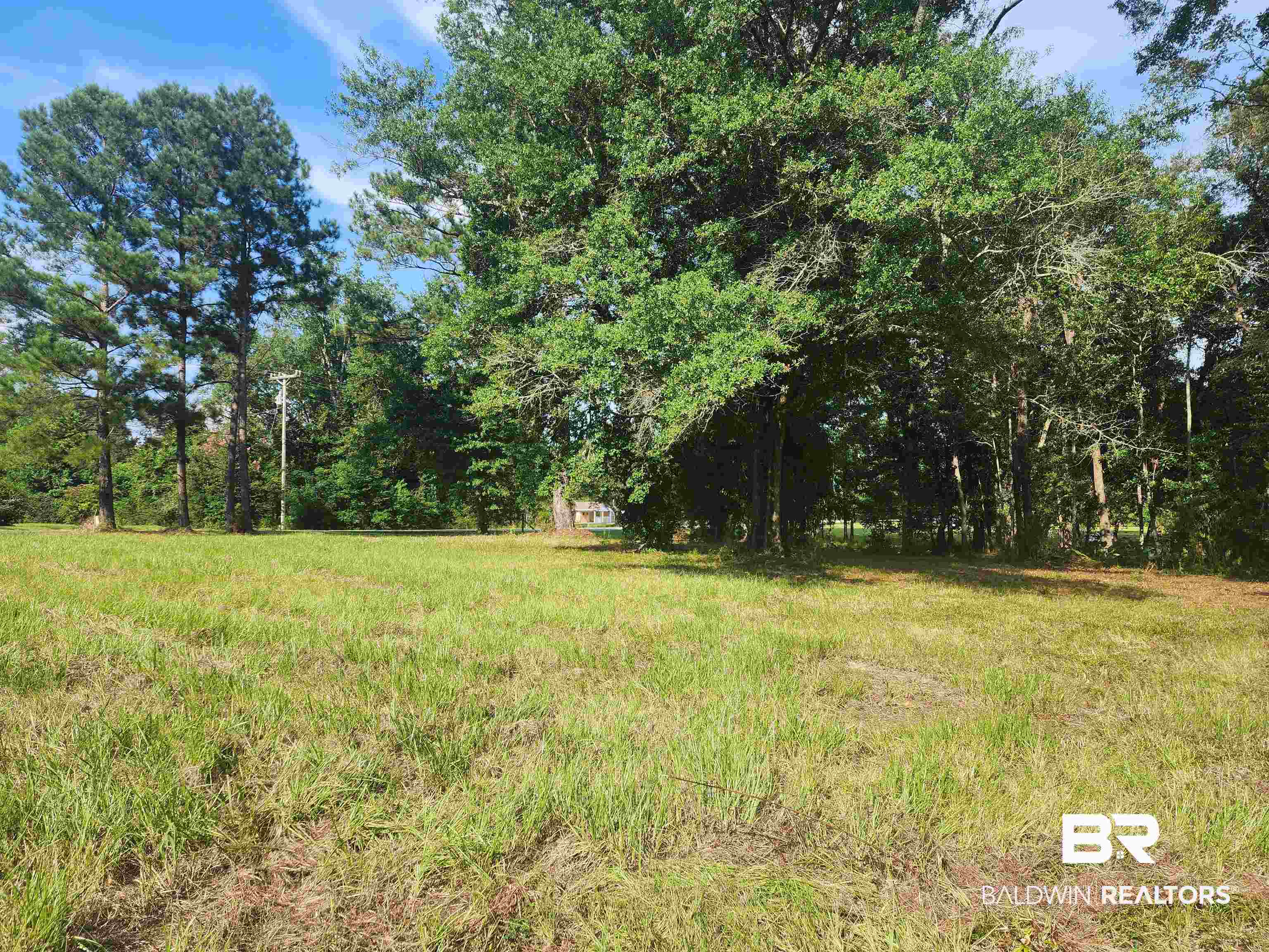 35579 County Road 39 Stapleton, AL 36578 - Photo 3 of 3 View of yard