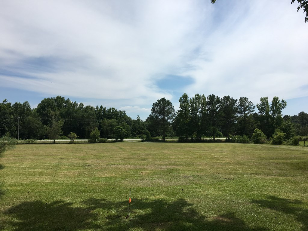 2595 Mesena Road Thomson, GA 30824 - Photo 10 of 25