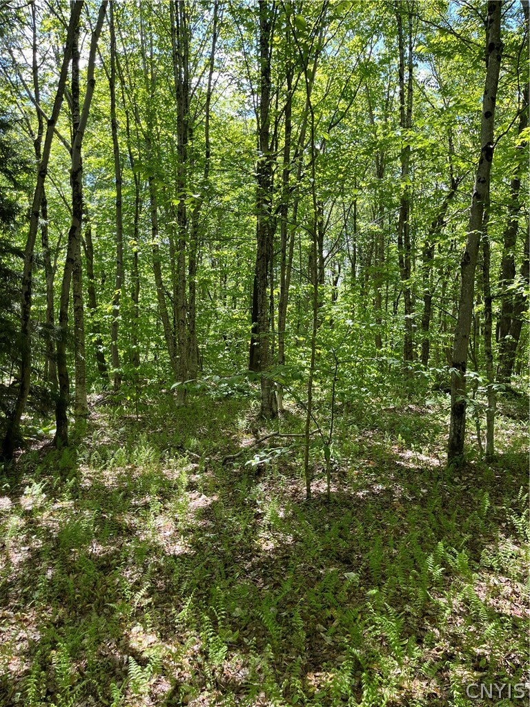 191 Tucker Road Boylston, NY 13083 - Photo 20 of 23