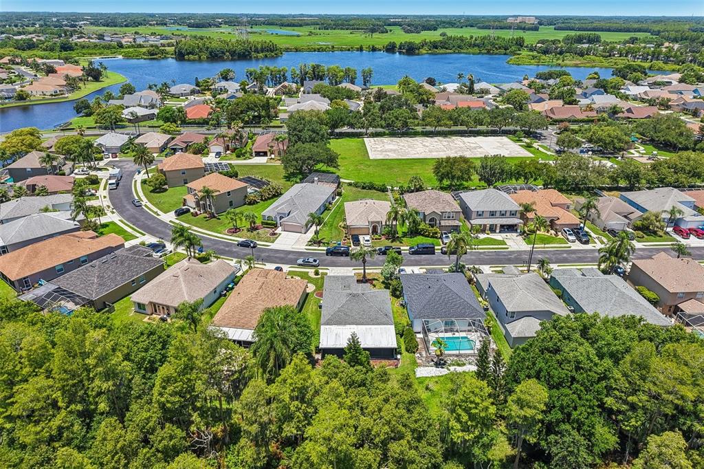 1628 Crossvine Court Trinity, FL 34655 - Photo 58 of 58