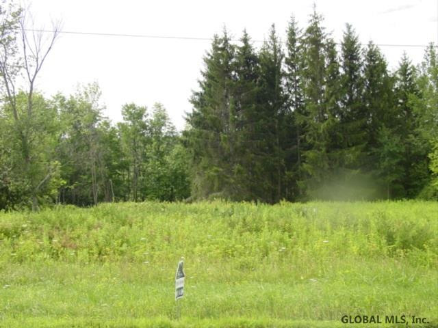 0 Thousand Acres Road Delanson, NY 12053 - Photo 1 of 4 Photo 1