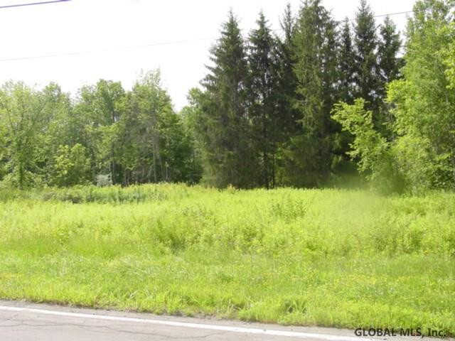 0 Thousand Acres Road Delanson, NY 12053 - Photo 2 of 4 Photo 2