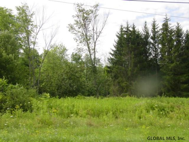 0 Thousand Acres Road Delanson, NY 12053 - Photo 3 of 4 Photo 3