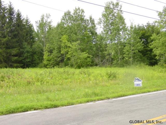 0 Thousand Acres Road Delanson, NY 12053 - Photo 4 of 4 Photo 4