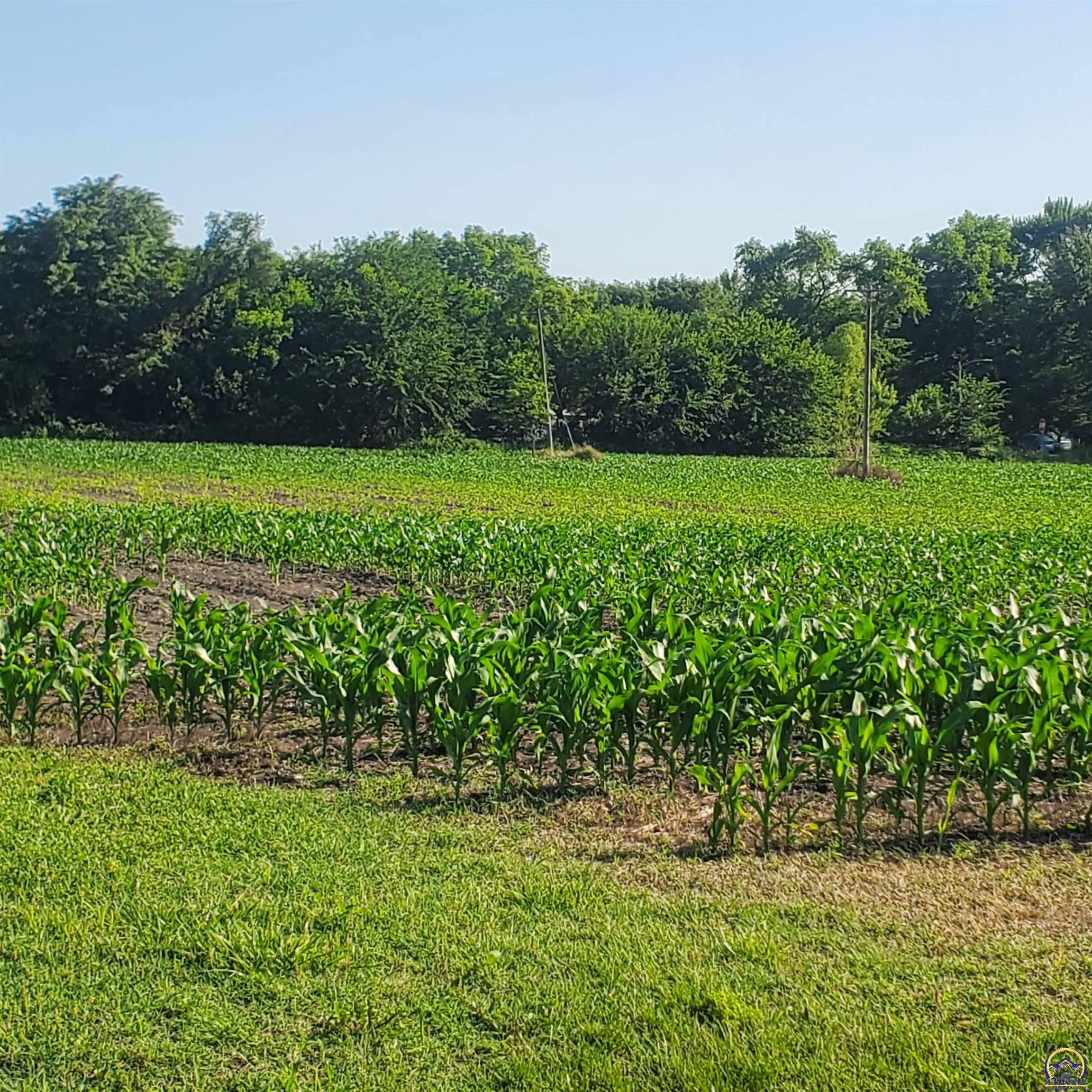 W North 4th Street, Unit WEST PARCEL Quenemo, KS 66528 - Photo 15 of 22