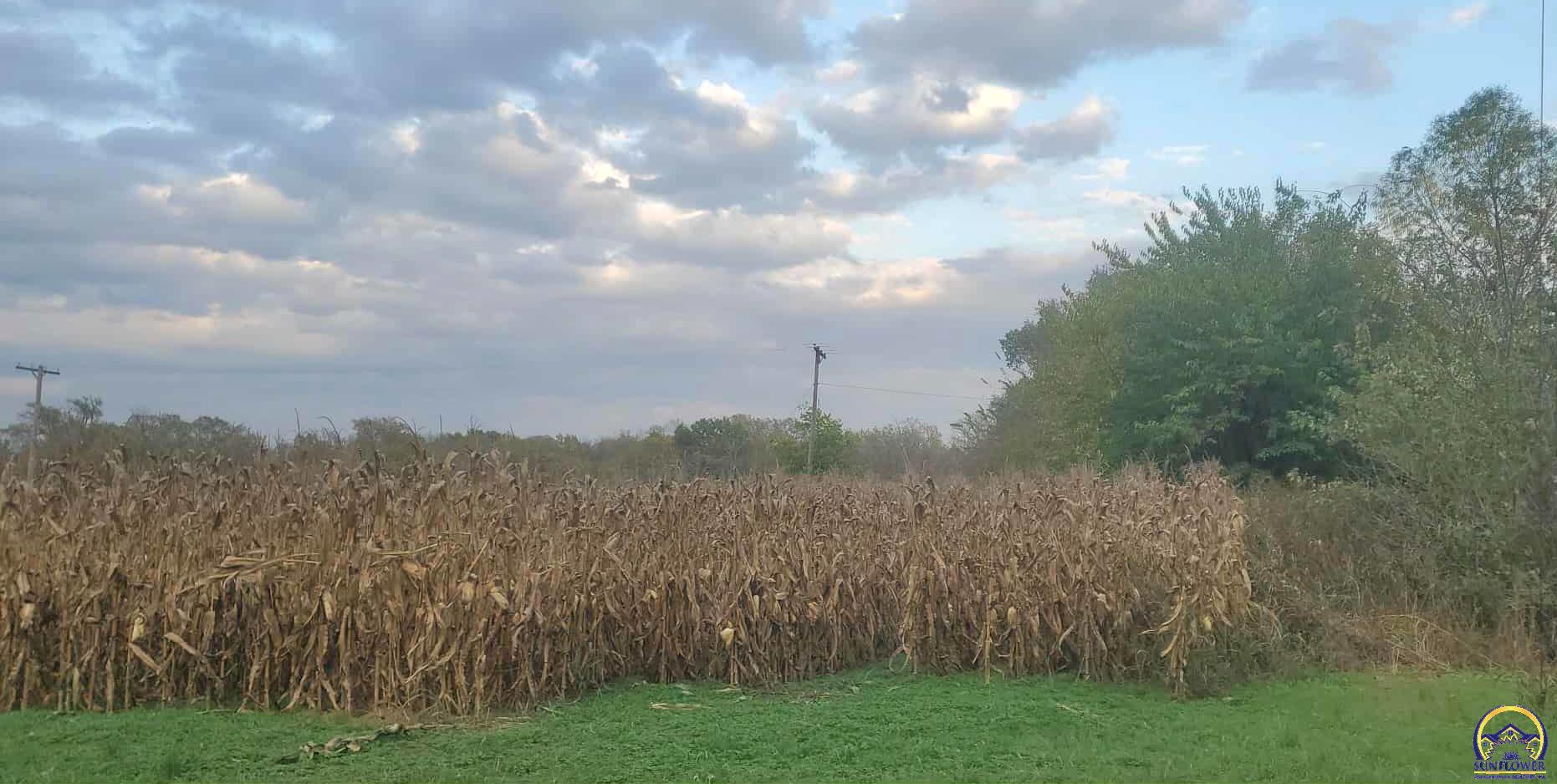 W North 4th Street, Unit WEST PARCEL Quenemo, KS 66528 - Photo 18 of 22