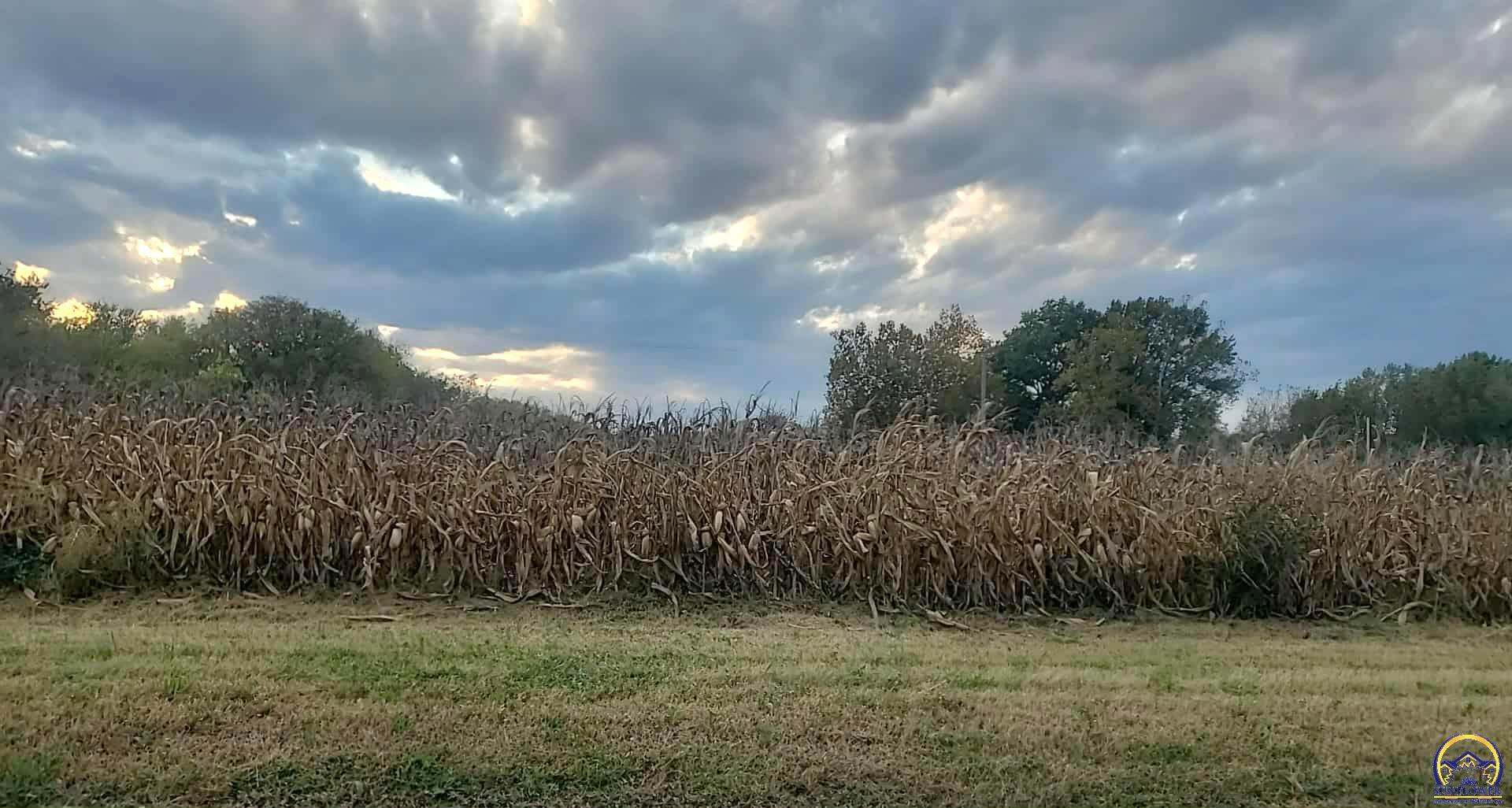 W North 4th Street, Unit WEST PARCEL Quenemo, KS 66528 - Photo 19 of 22