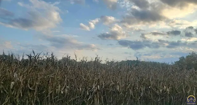 $30,000 | W North 4th Street, Unit WEST PARCEL, Quenemo, KS 66528