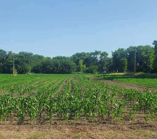 $25,000 | W North 4th Street, Unit WEST PARCEL, Quenemo, KS 66528