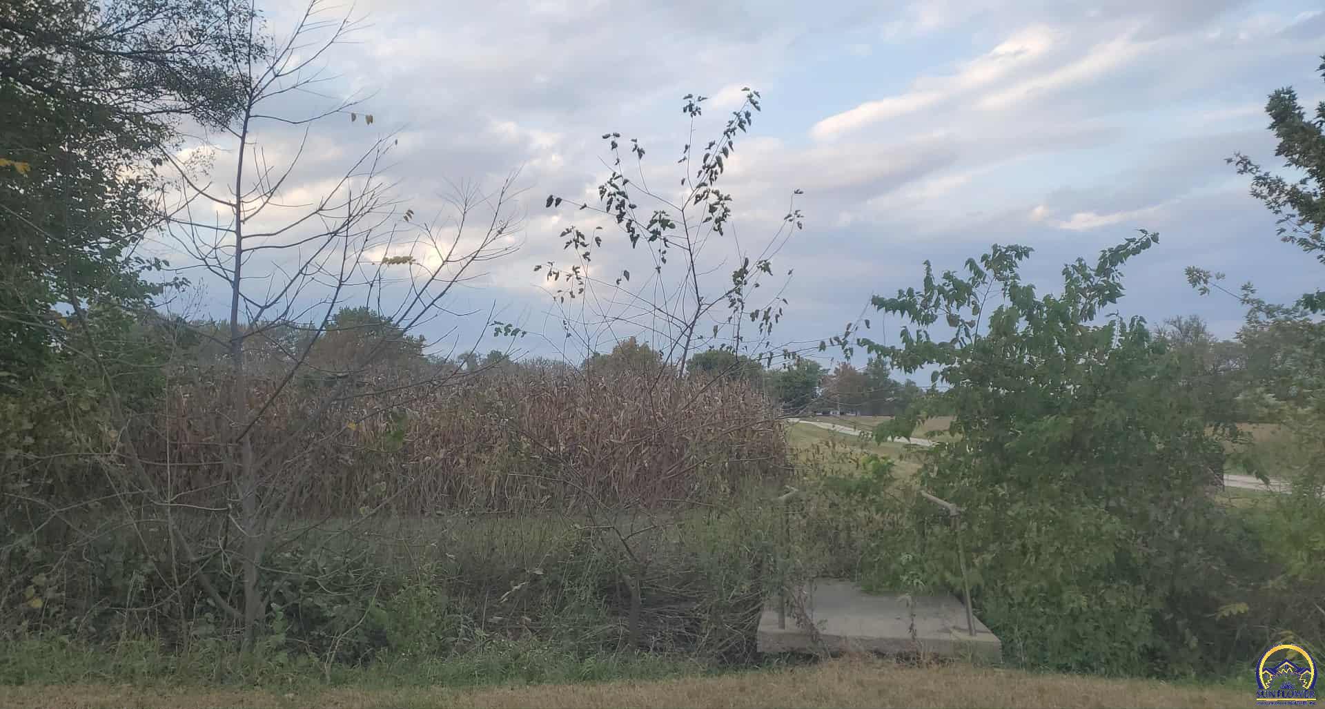 W North 4th Street, Unit WEST PARCEL Quenemo, KS 66528 - Photo 8 of 22