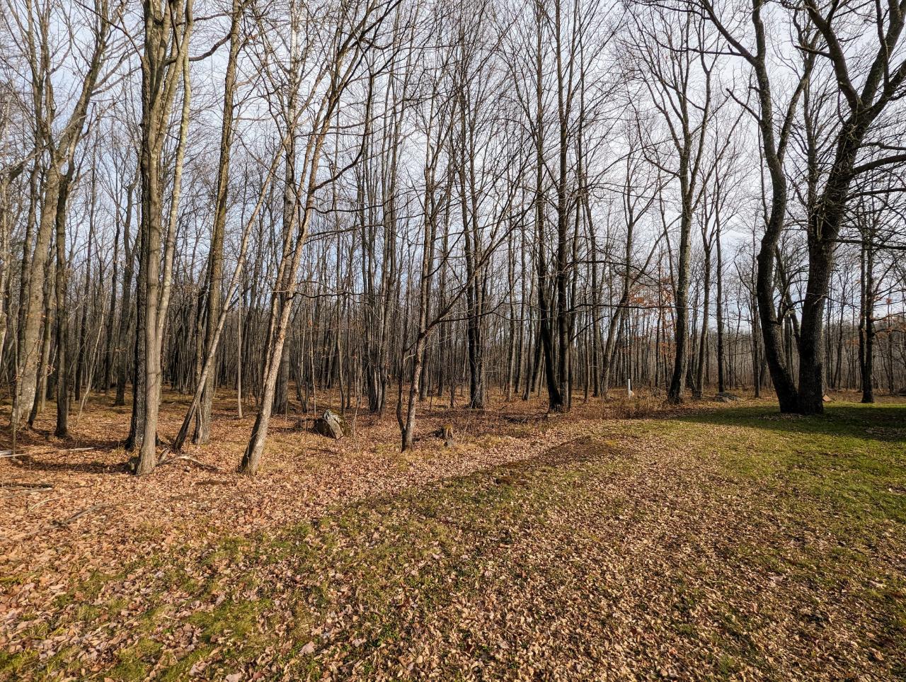 W3786 Cth H Phillips, WI 54555 - Photo 4 of 36 Gallery Image 4
