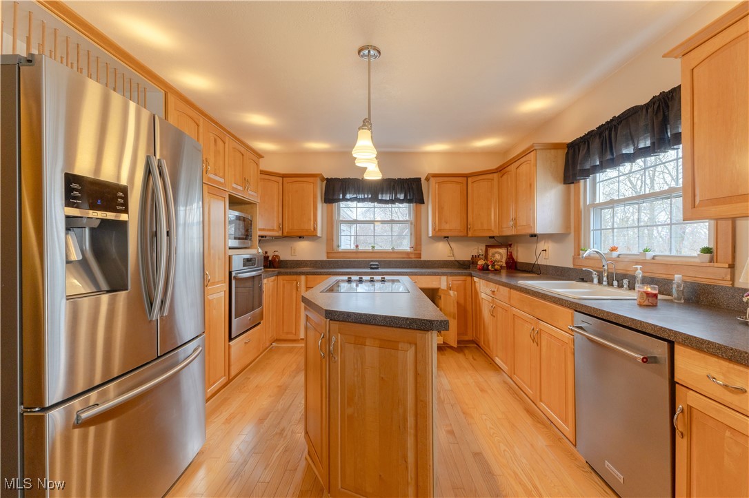 1639 South Ridge Road West Ashtabula, OH 44004 - Photo 8 of 44 Kitchen with a sink, dark countertops, light wood finished floors, and stainless steel appliances