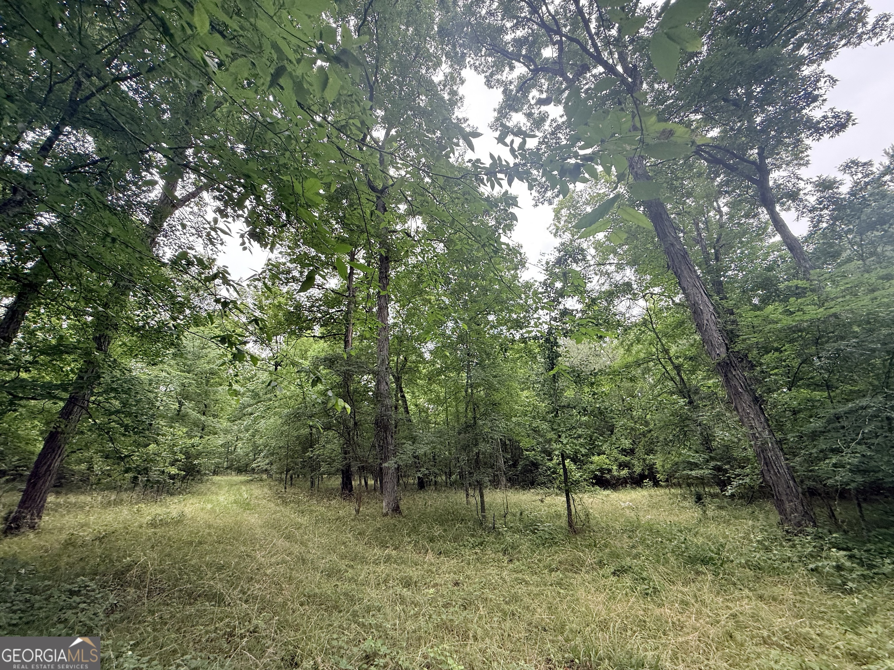 1 Bethesda Church Road Lexington, GA 30648 - Photo 30 of 78