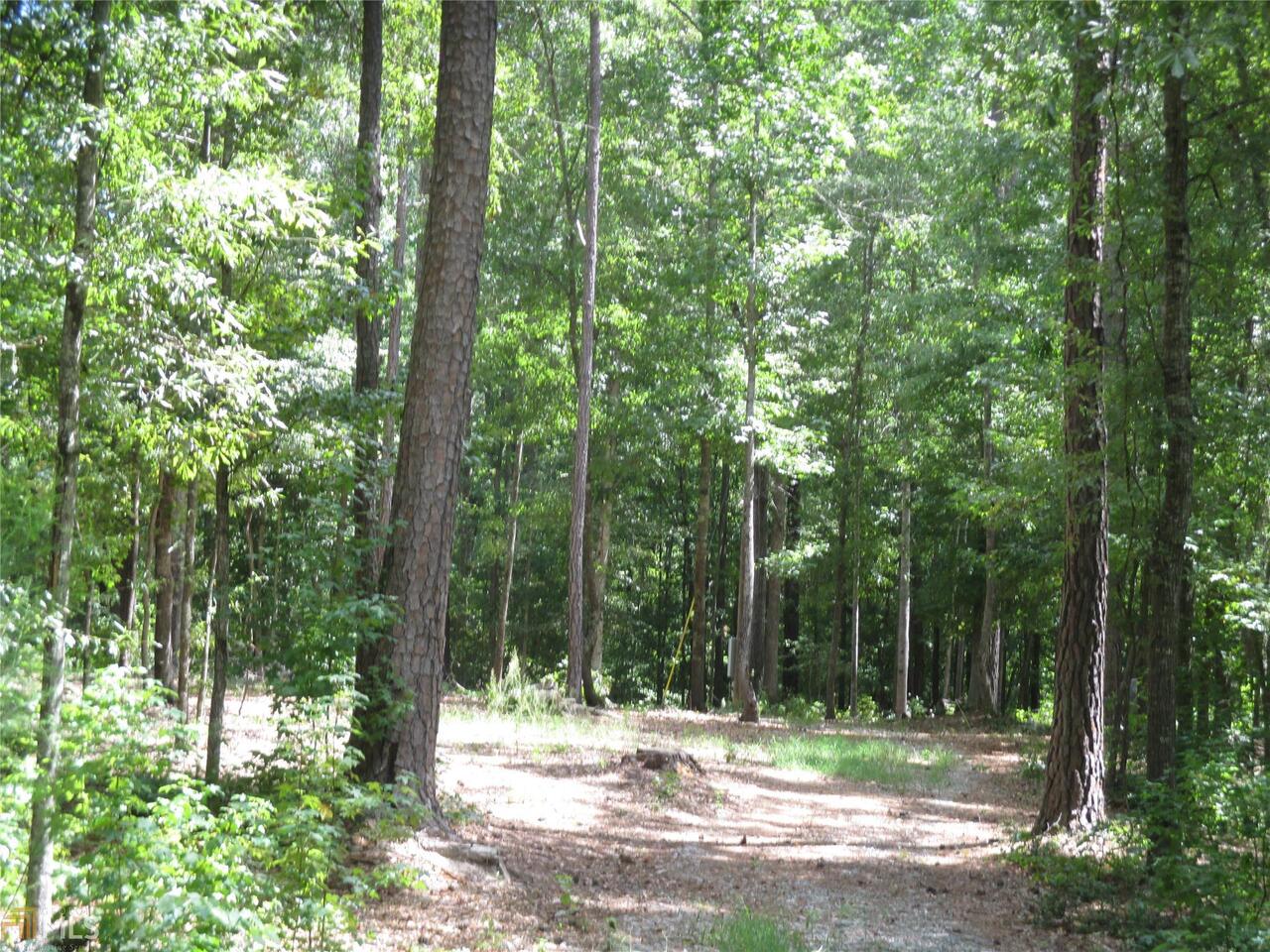 2070 Atwater Road Thomaston, GA 30286 - Photo 1 of 1