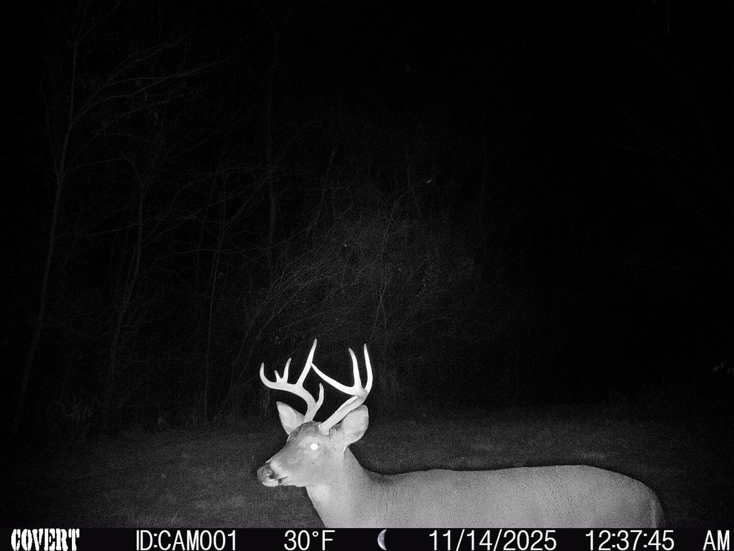 9615 Rural Dale Road Blue Rock, OH 43720 - Photo 75 of 83 9615 Rural Dale Rd-75