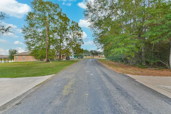 a view of a yard with potted plants and large trees