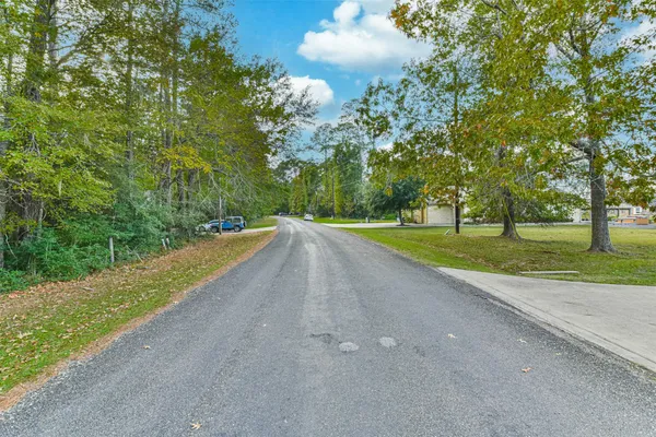 a view of a park with large trees