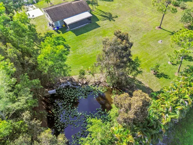 a view of a garden with plants