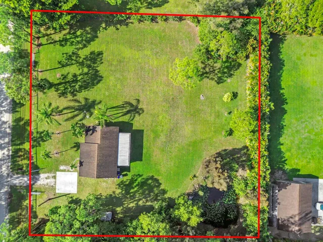 a plant that is in front of a building