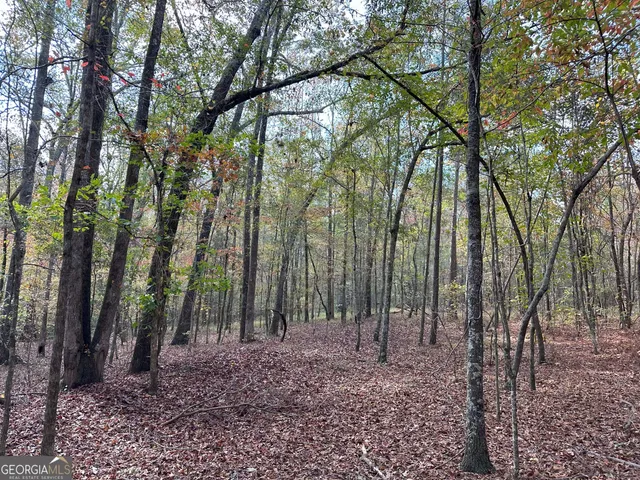 $232,050 | 50-hearthstone Drive, Carlton, GA 30627