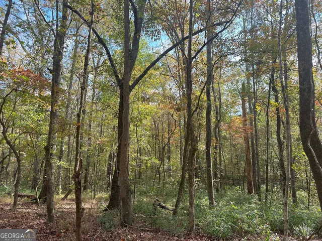 $232,050 | 50-hearthstone Drive, Carlton, GA 30627