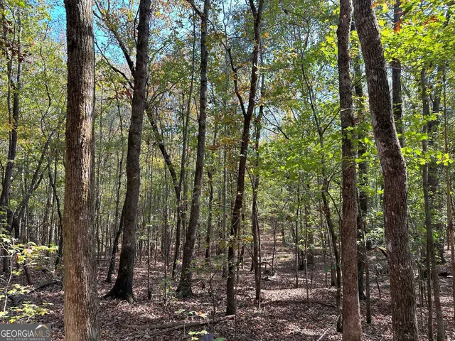 $232,050 | 50-hearthstone Drive, Carlton, GA 30627