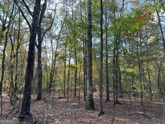 $232,050 | 50-hearthstone Drive, Carlton, GA 30627