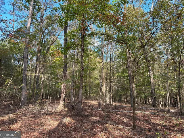 $232,050 | 50-hearthstone Drive, Carlton, GA 30627