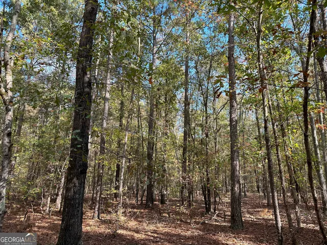 $232,050 | 50-hearthstone Drive, Carlton, GA 30627