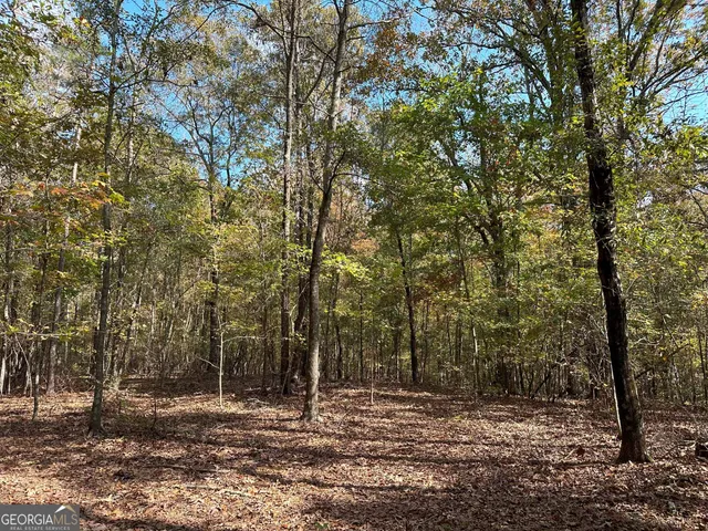 $232,050 | 50-hearthstone Drive, Carlton, GA 30627