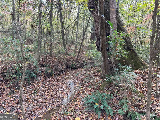 $232,050 | 50-hearthstone Drive, Carlton, GA 30627