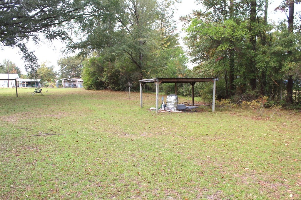 2714 Ed Hall Road Donalsonville, GA 39845 - Photo 34 of 35