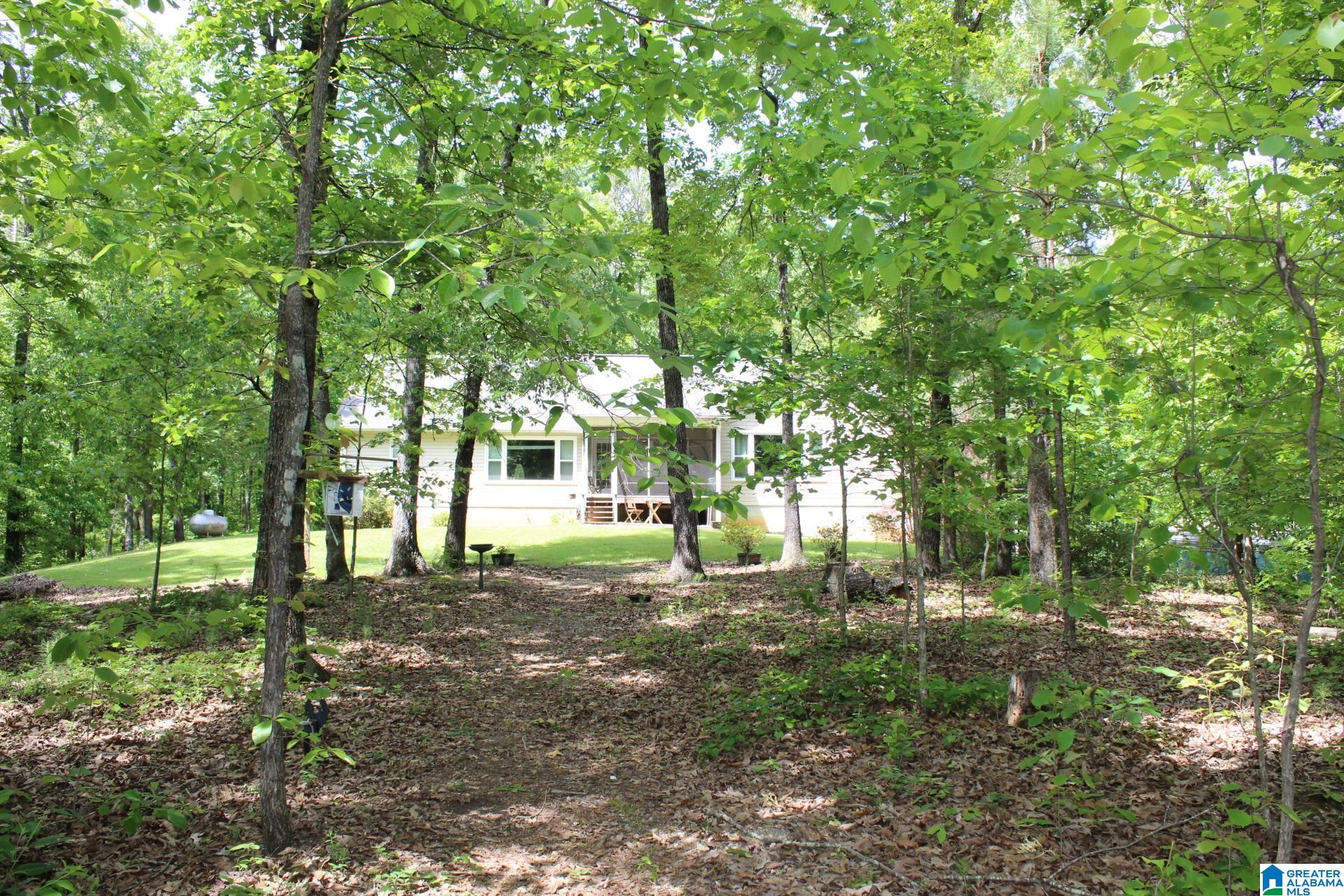 270 Duke School Road Wellington, AL 36279 - Photo 74 of 80