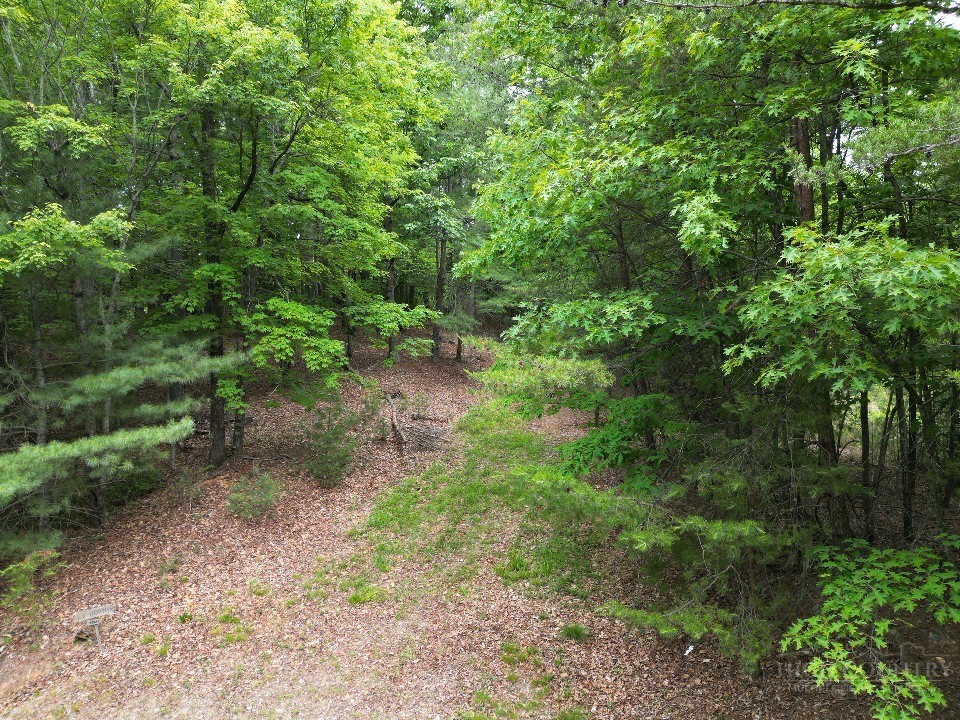 22 Elk Ridge Road Ferguson, NC 28624 - Photo 2 of 16 a big yard with lots of green space and deers