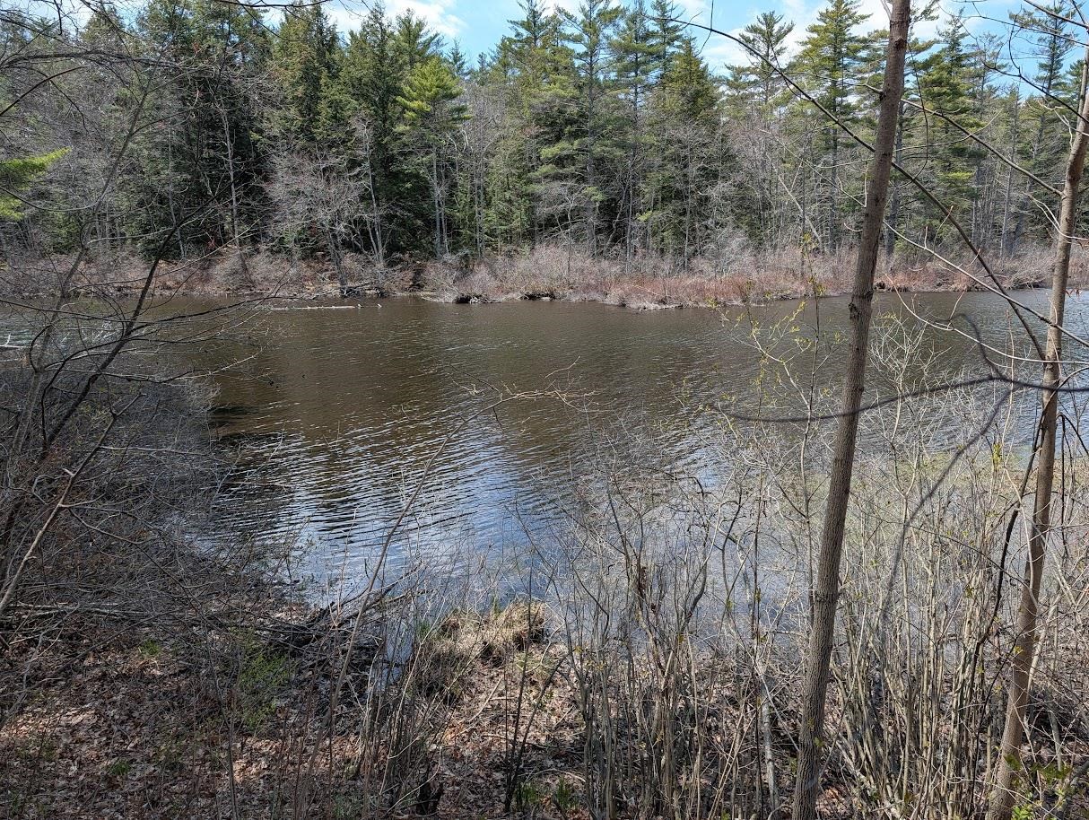 252 Merrymeeting Road New Durham, NH 03855 - Photo 3 of 36