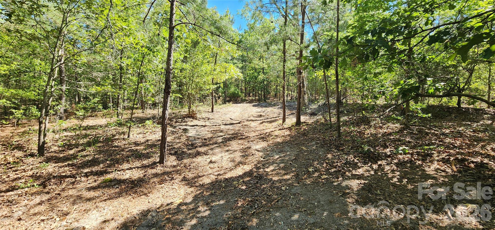 1050 McQueen Road Patrick, SC 29584 - Photo 14 of 48 a view of a forest with trees