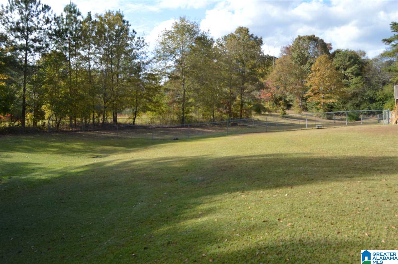 9038 Country Creek Road Dora, AL 35062 - Photo 37 of 39