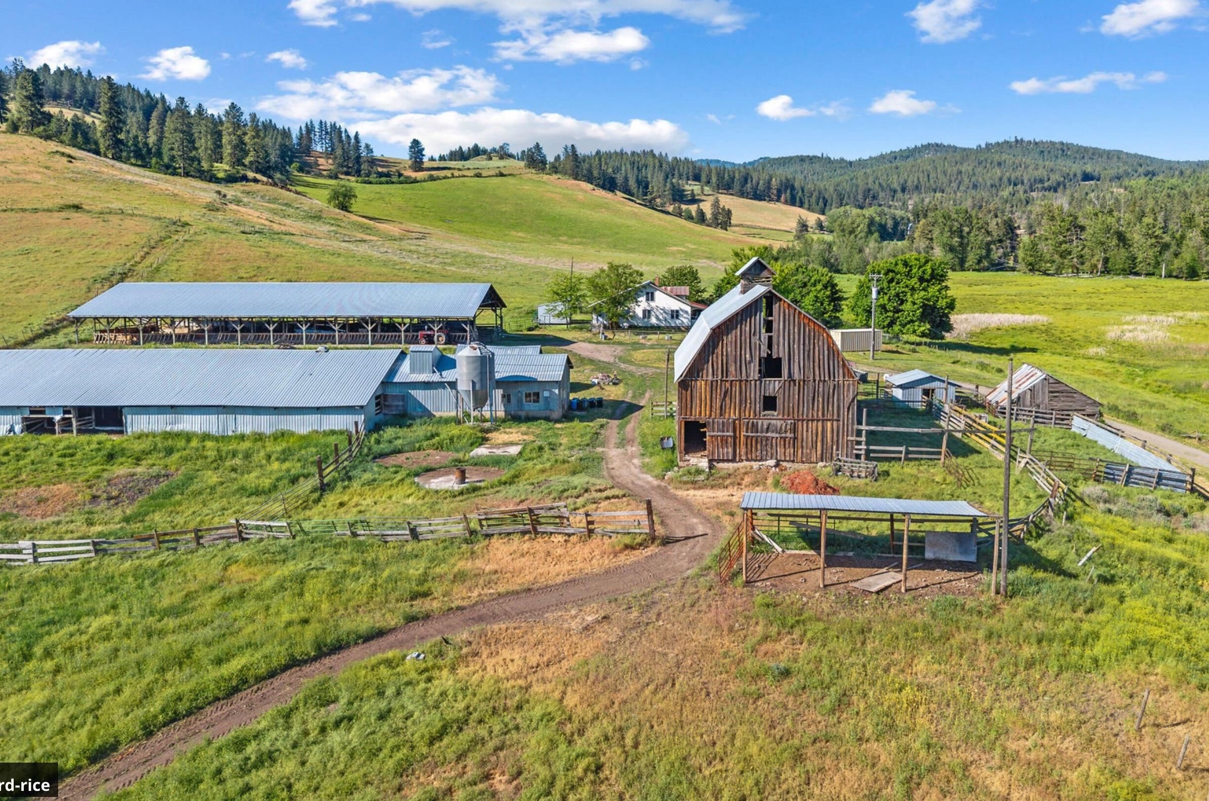 1985 Scott Road Rice, WA 99167 - Photo 14 of 48