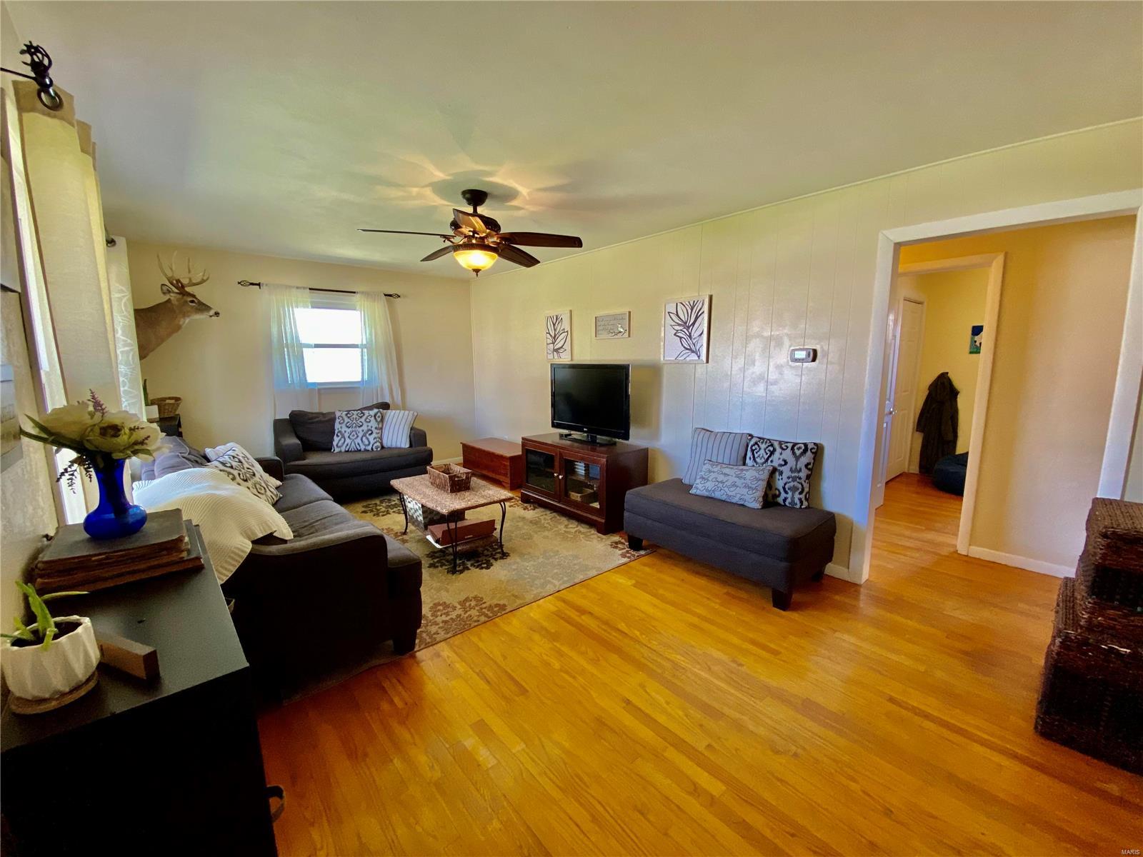 207 Edwin Street Brighton, IL 62012 - Photo 5 of 31 Gallery Image 5