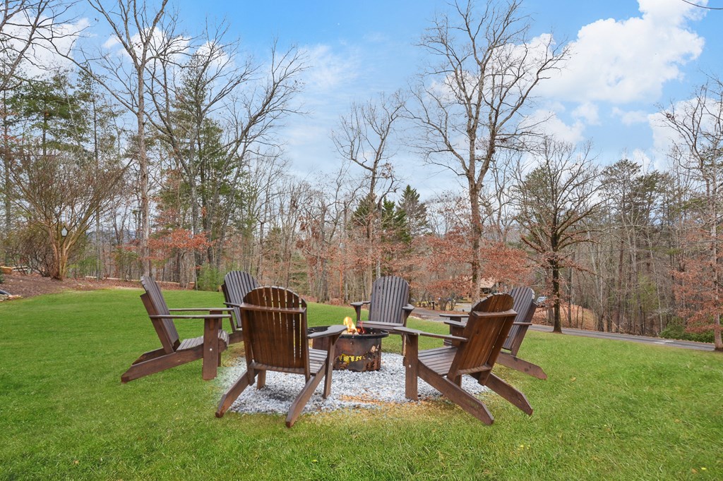 385 Shields Road Mineral Bluff, GA 30559 - Photo 34 of 38