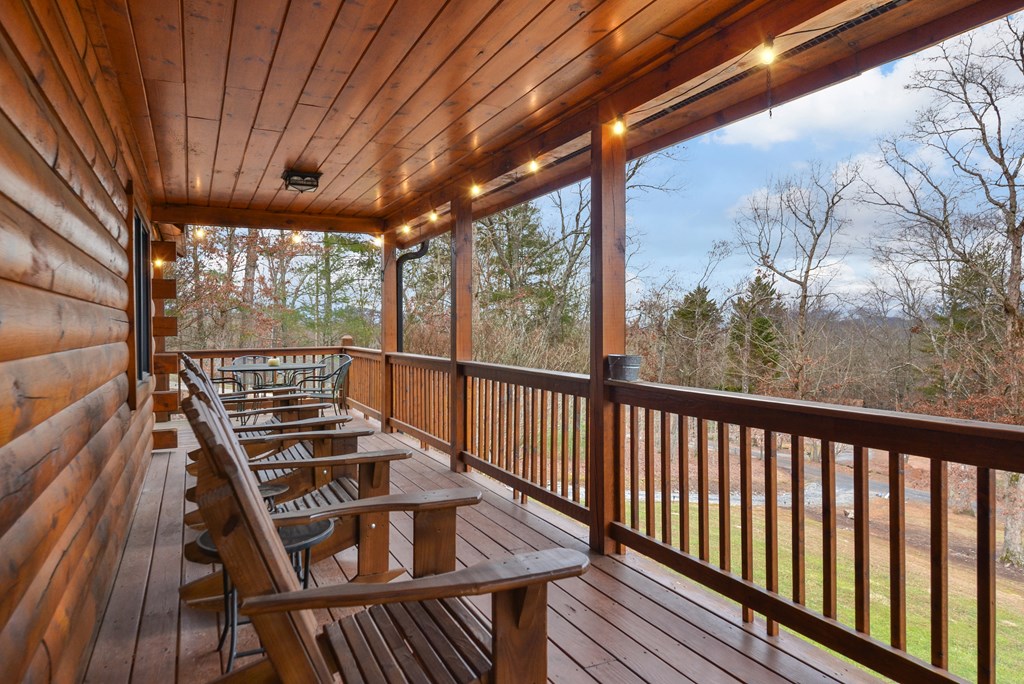 385 Shields Road Mineral Bluff, GA 30559 - Photo 4 of 38