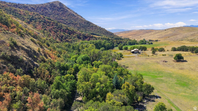 2705 East Canyon Road Smithfield, UT 84335 - Photo 2 of 13 Expansive land featuring a prominent mountain backdrop, lush green trees, and large open fields