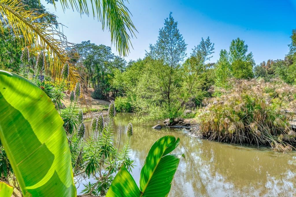 1781 Dewitt Estates Road Alpine, CA 91901 - Photo 58 of 73