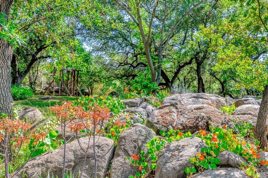 1781 Dewitt Estates Road Alpine, CA 91901 - Photo 59 of 73