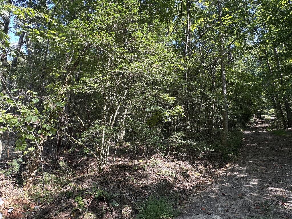 Tbd Harris Ridge Lane Hayesville, NC 28904 - Photo 28 of 32 Gallery Image 28