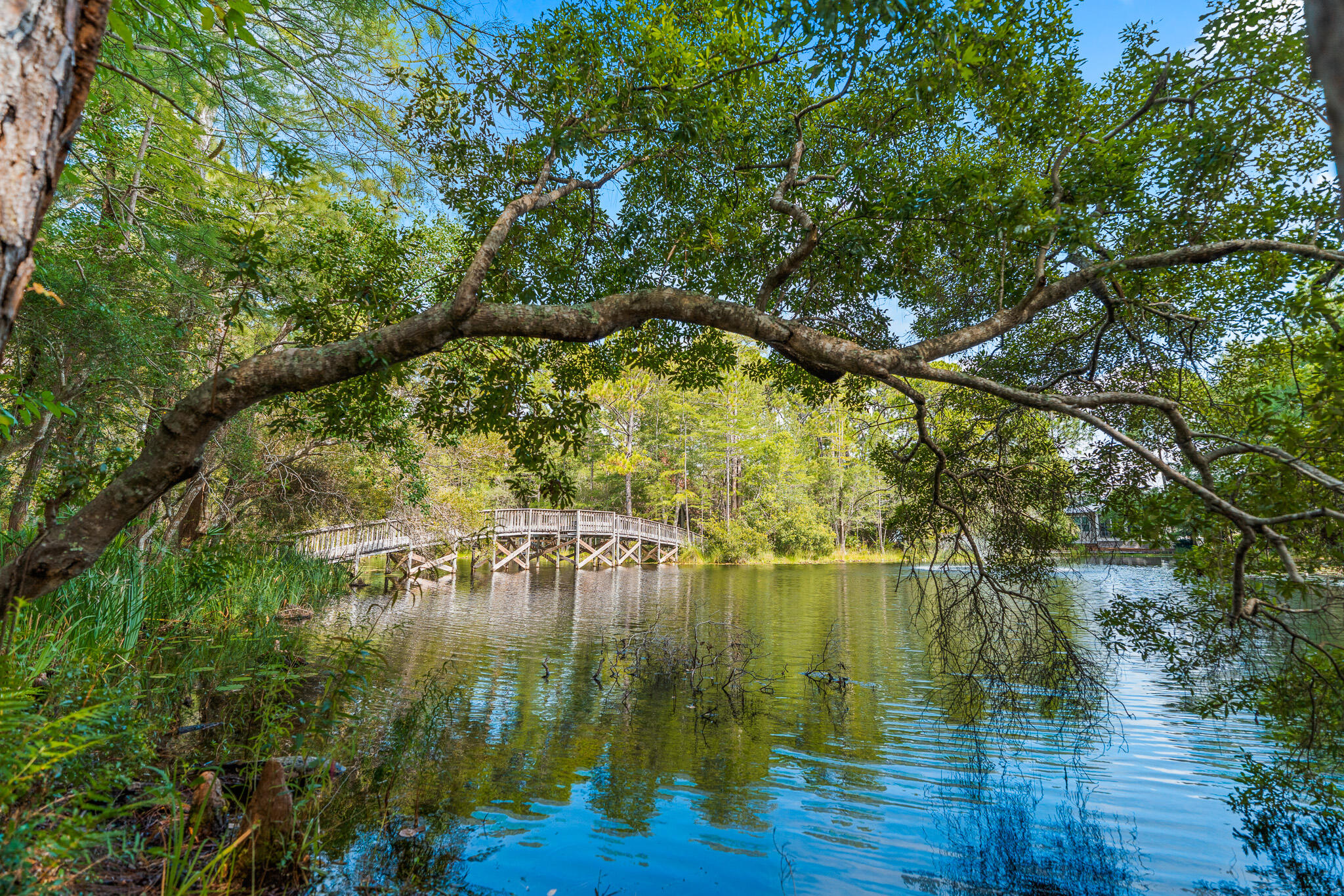 125 Cassine Garden Circle, Unit 129 Santa Rosa Beach, FL 32459 - Photo 51 of 70 a view of lake