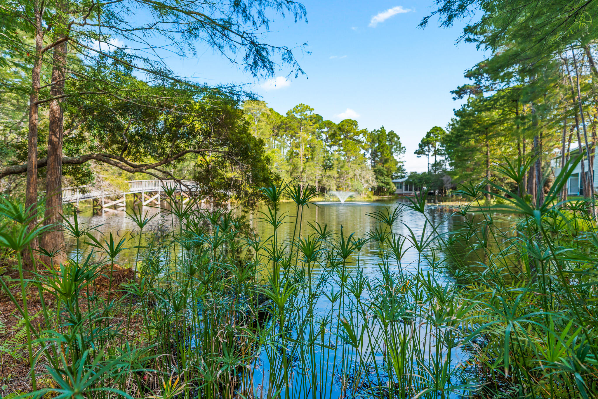125 Cassine Garden Circle, Unit 129 Santa Rosa Beach, FL 32459 - Photo 52 of 70 a view of lake with a yard
