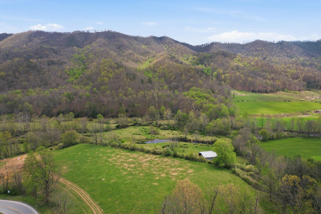 4020 Freestone Valley Road Tannersville, VA 24377 - Photo 62 of 109 Gallery Image 62