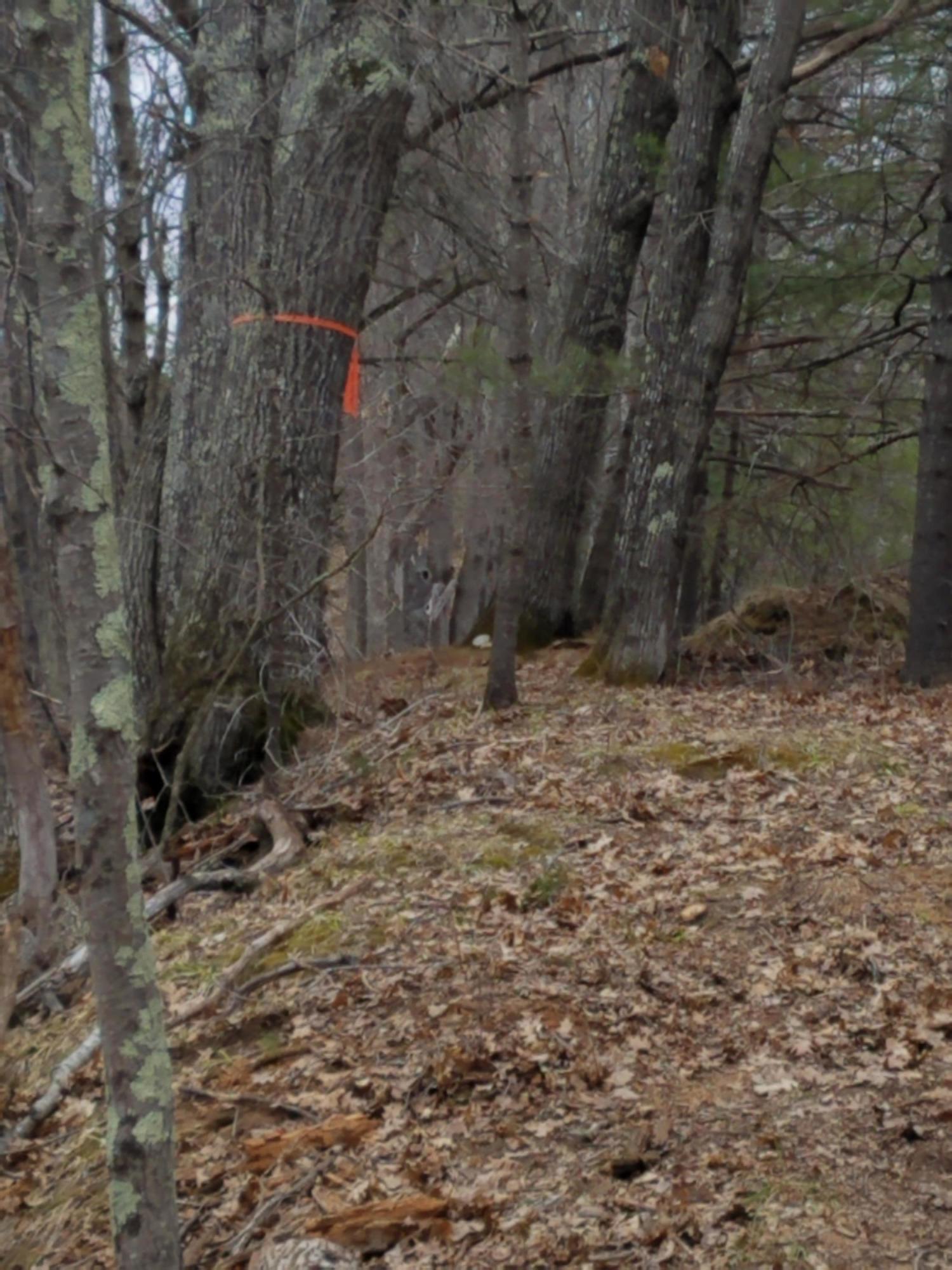 5 Young Road Lisbon, ME 04250 - Photo 12 of 14 Easement to river