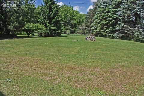 7467 Cole Road Bancroft, MI 48414 - Photo 16 of 16 20438782-15.JPG